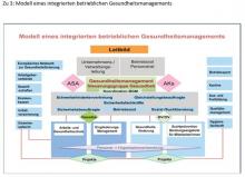 Modell eines integrierten betrieblichen Gesundheitsmanagements